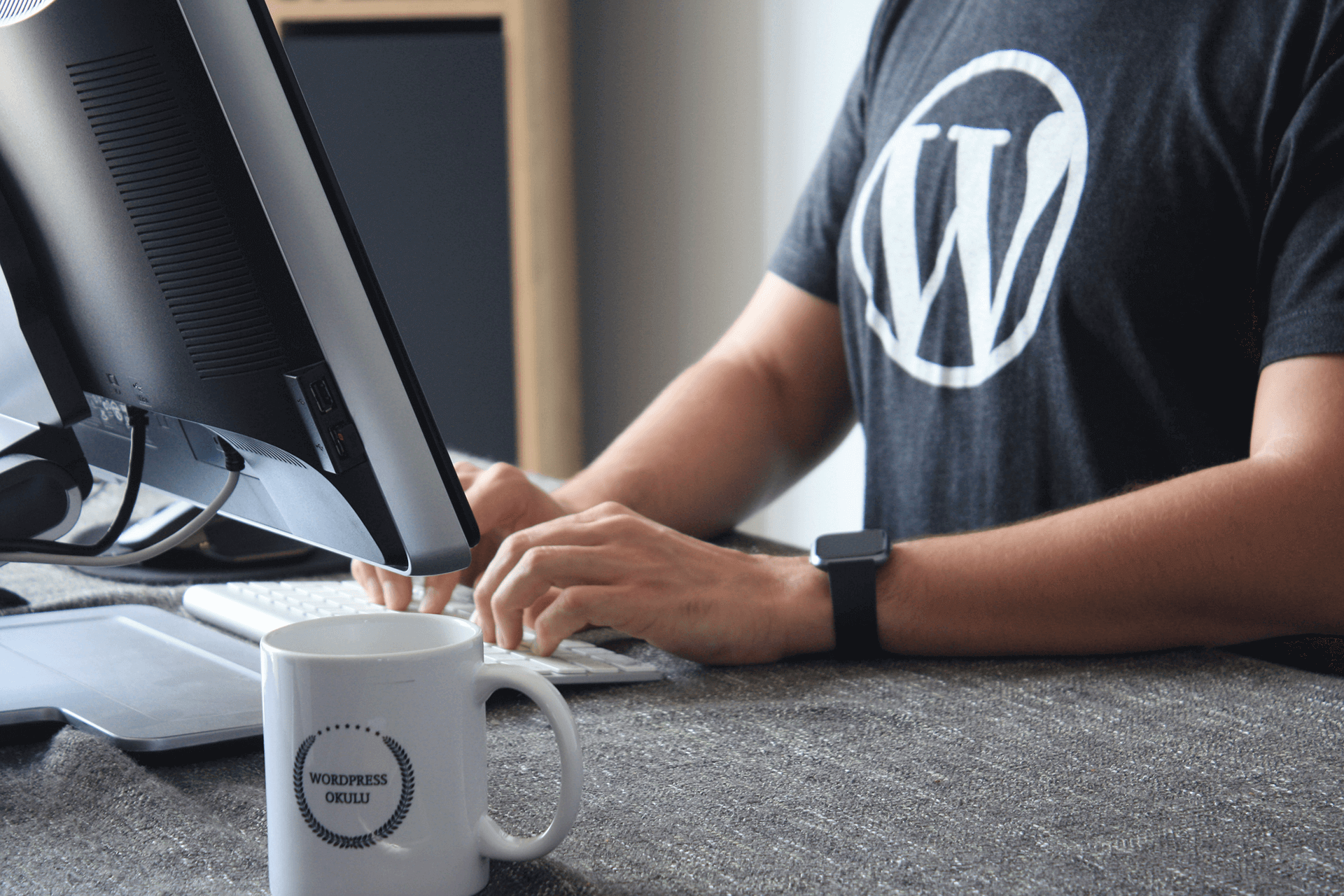 WordPress Entwickler am Monitor